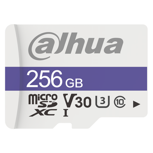 DAHUA - TF-C100/256GB